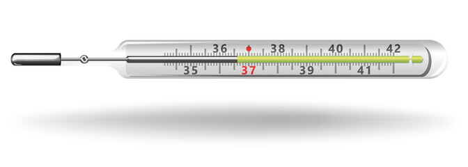 Mercury Thermometer