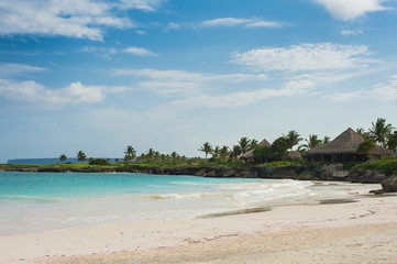 Palm and tropical beach in Tropical Paradise. Summertime holiday