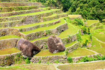 Rice terraces in the Philippines. Rice cultivation in the North