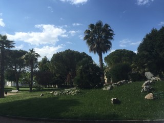 Fototapeta premium parco