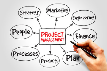 Project management mind map, business concept