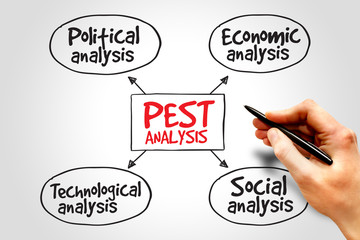 PEST analysis mind map