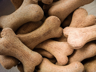 Kości dla psa © Filip Olejowski