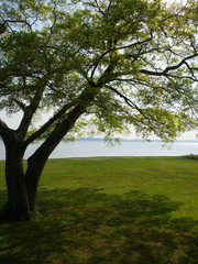 涸沼　親沢公園