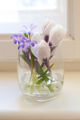 Spring flowers in vase