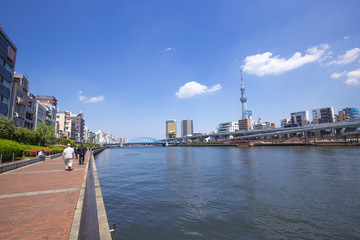 Obraz premium 東京スカイツリー