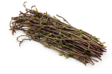 akebia quinata, crude drug, japanese mountain vegetable