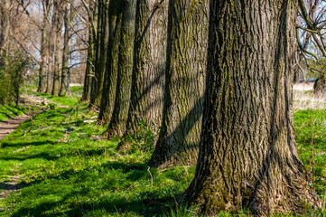 Naklejka premium Dormagen am Leinpfad