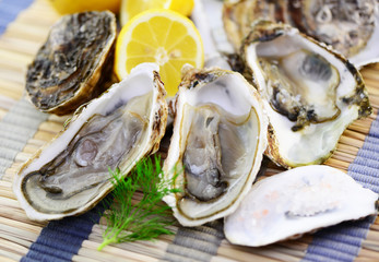 Austern Dill