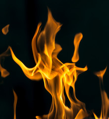fire on black close up abstract background