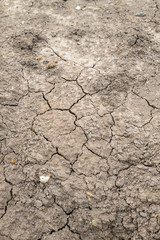 dry soil cracked earth texture