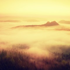 Sunrise in a beautiful misty mountains of Saxony Switzerland. 