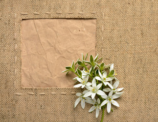 bouquet of white flowers and background of burlap