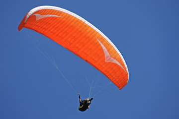 Paraglider