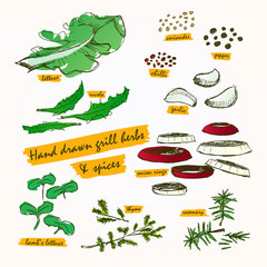 Grill herbs & spices colour paint