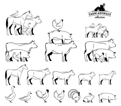 Vector Farm Animals Isolated on White