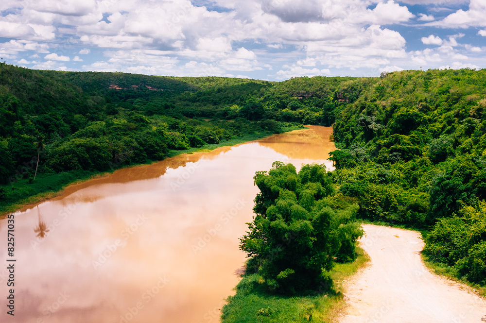 Wall mural tropical river chavon in dominican republic