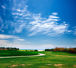Rural road in Green Grass Field Landscape with fantastic clouds