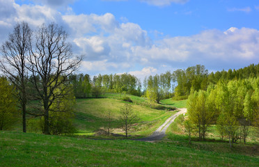 Beautiful spring landscape