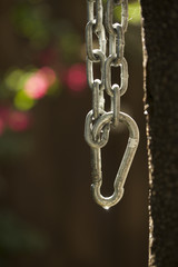 Obraz premium A chain dangle from a tree.