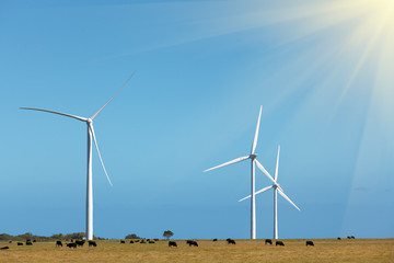 Three Windmills - Clean Energy production