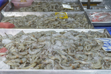 Fresh Shrimp in Thai market