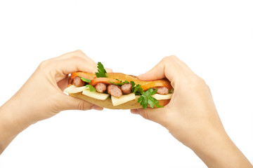 Sandwich in hand