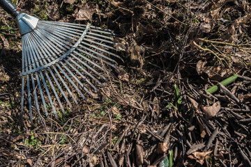 Autumn leaves raking up pile in spring garden on countryside