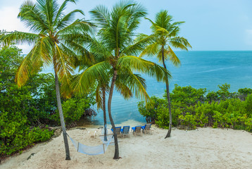 Fototapeta na wymiar Aerial view Florida beach with lounge chairs against blue sky