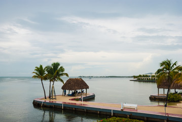 Aerial view Florida beach with lounge chairs against blue sky