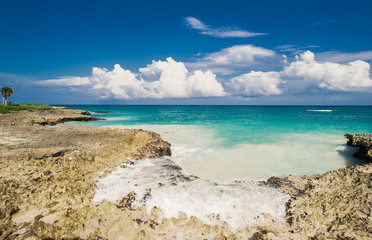 Wild caribbean beach. Dominican republic. tropical sand beach in