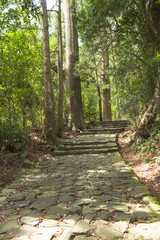 熊野古道の石畳み