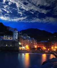 Fototapeta na wymiar Aerial view of Vernazza - small italian town in the province of
