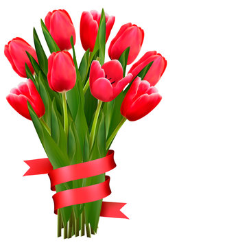Celebration background with red tulips and ribbons. Vector.