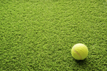 Tennis ball on the lawn