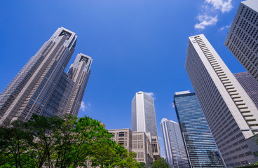 Obraz premium 高層ビル群 東京都庁