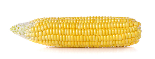 raw corn isolated on the white background