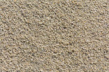 Grains of sand form a natural texture