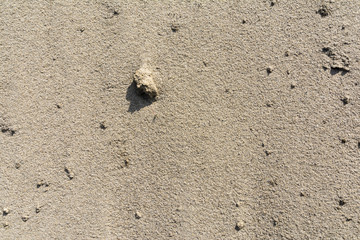 Sand - sedimentary rock