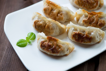 Gyoza dumplings, traditional japanese dish, close-up