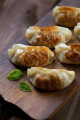 Close-up of pan fried japanese gyoza, selective focus