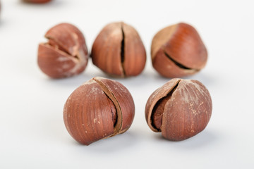 dried hazelnut