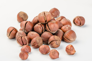 dried hazelnut