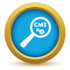 CMS under loupe icon