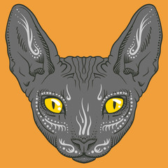 Obraz premium hairless sphinx cat face graphics, outline 