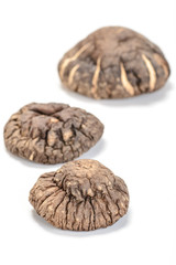 dried shitake mushroom