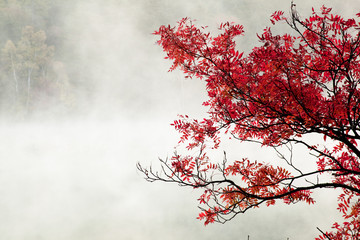 秋のオンネトー