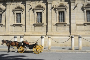 Fototapeta na wymiar Coche de caballos en la catedral de Sevilla