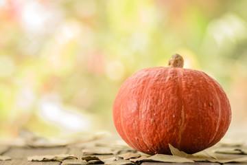 orange pumpkin