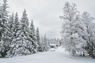 Scandinavian cottage in a winter snowdrifts